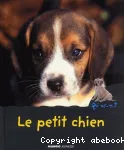 Le petit chien