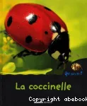 La coccinelle