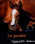 Le poulain
