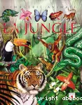 Les animaux de la jungle