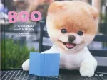 Boo le plus chou des chiens