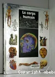 Le corps humain : Structures, organes et fonctionnements