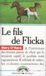 Le fils de Flicka