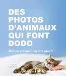 Des photos d'animaux qui font dodo : Doit-on vraiment en dire plus?
