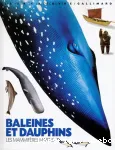 Mammifères marins