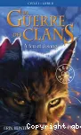 La guerre des clans, Cycle I-Livre II : A feu et à sang