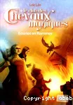 Le club des chevaux magiques, 3 : Ecuries en flammes