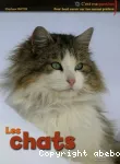Les chats